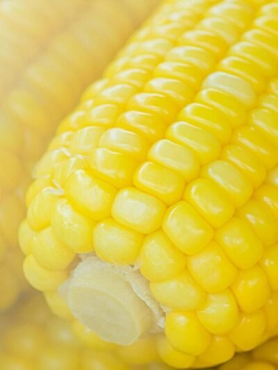 MAIZ - OFERTA - DEMANDA -TECNOLOGIAS