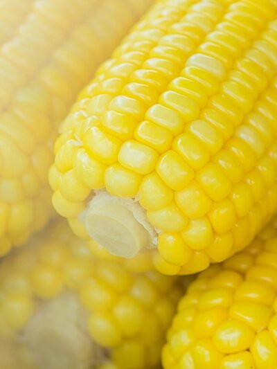 CEREALES y GRANOS - OFERTA